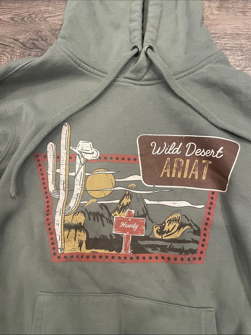 Ariat Sage Green Desert Graphic Hoodie